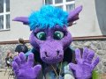 img00103.jpg